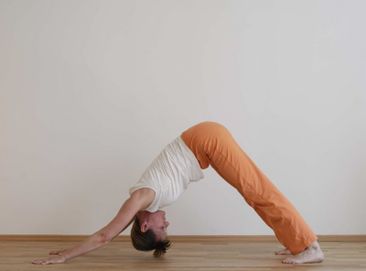 Yoga 1020 Wien Payerhofer GmbH